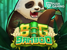 Bingo casino games79